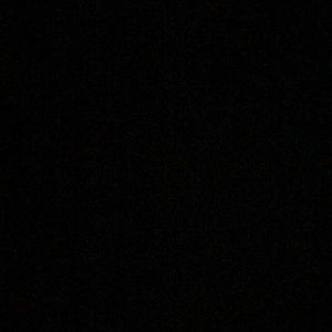 Meet your Posher, Reese